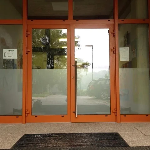 Matirana pasova na steklenih vhodnih vratih